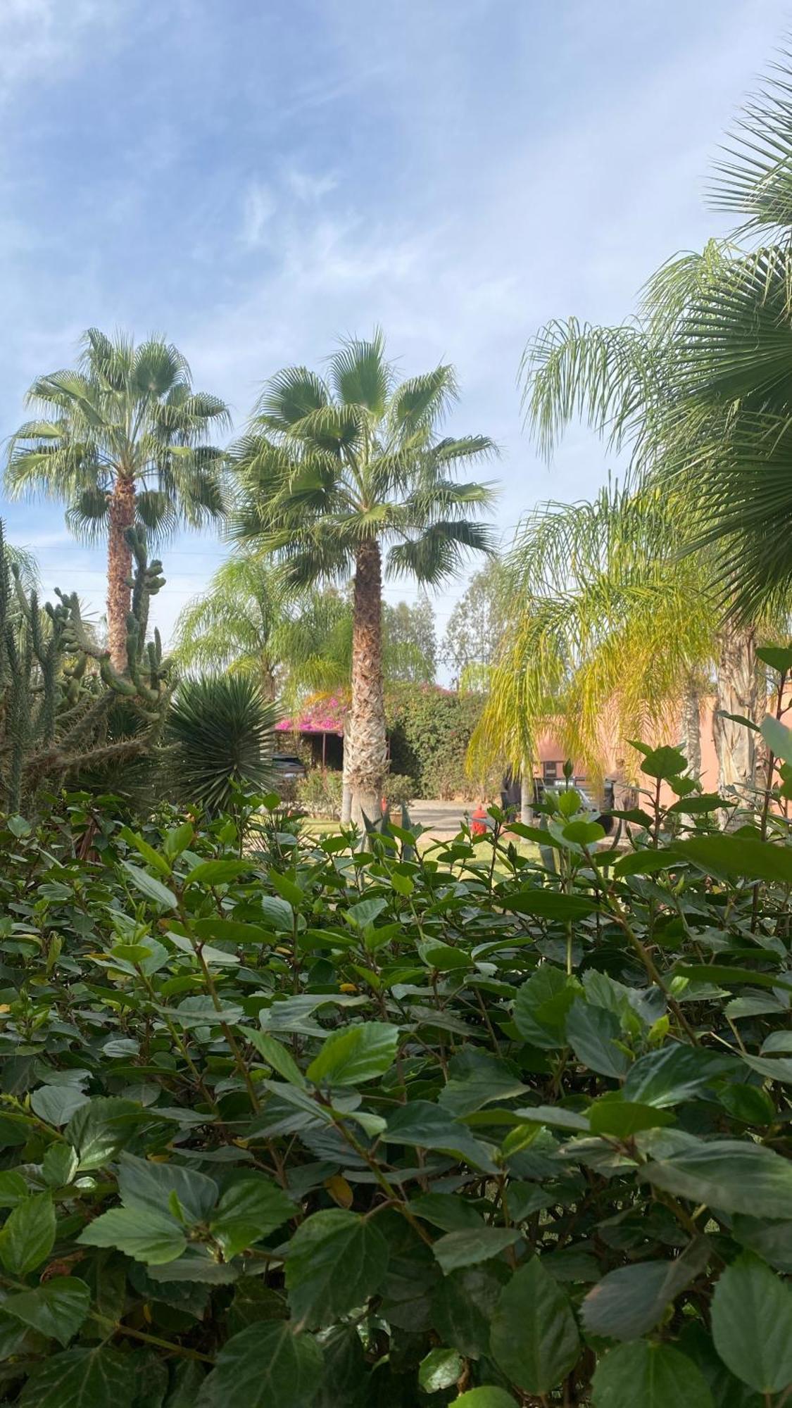 Le Rubis Oriental Marrakech Hotel Azib Oulad Ladem Exterior photo